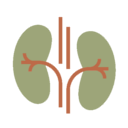 Urologie / Gynäkologie