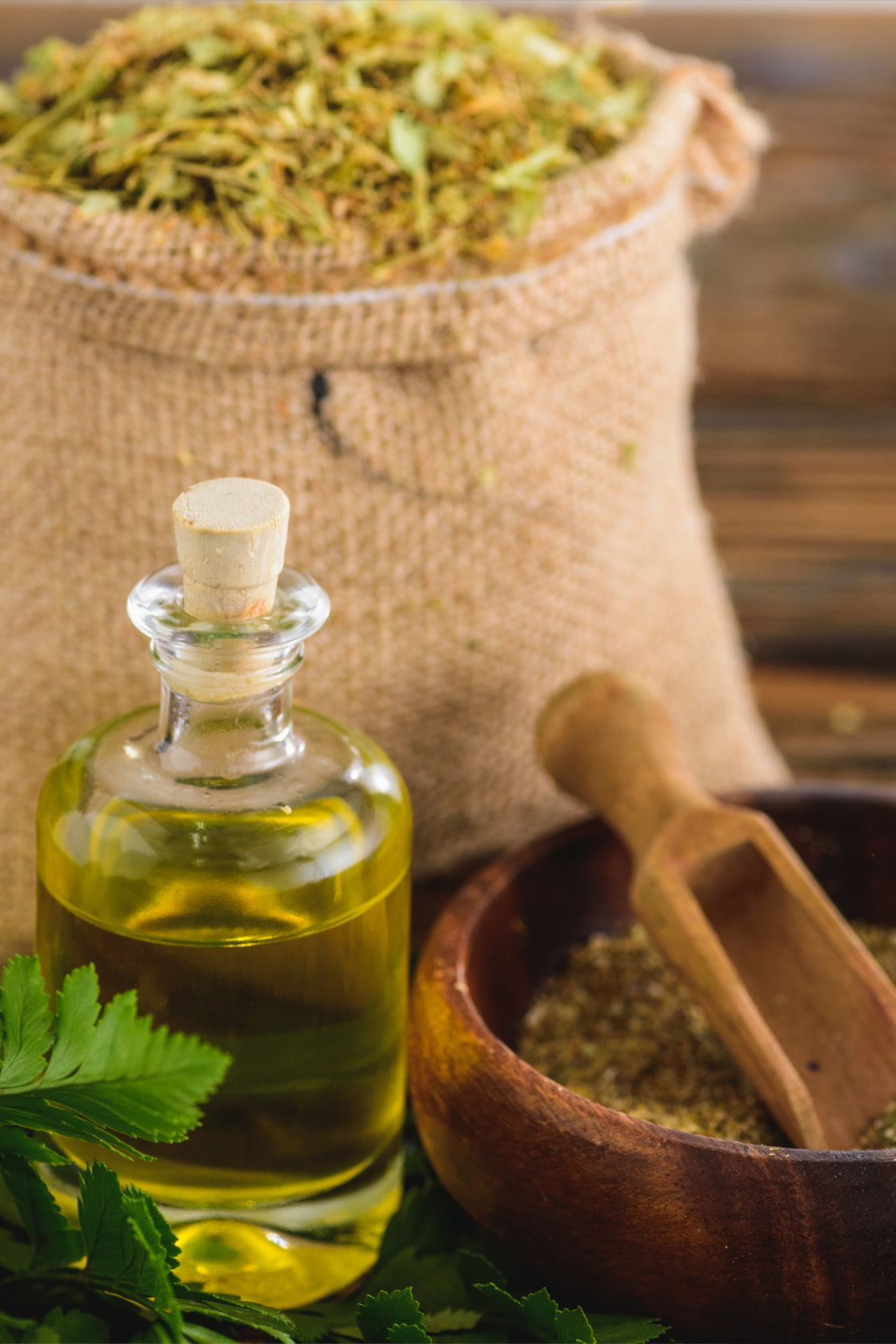 Westliche Phytotherapie in der Traditionellen Chinesischen Medizin